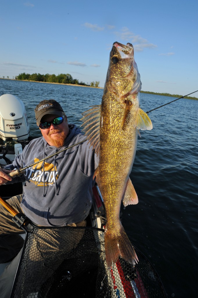 BigWaterWalleyes_image1