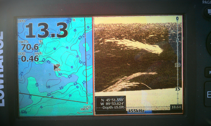 IMAG0875-1