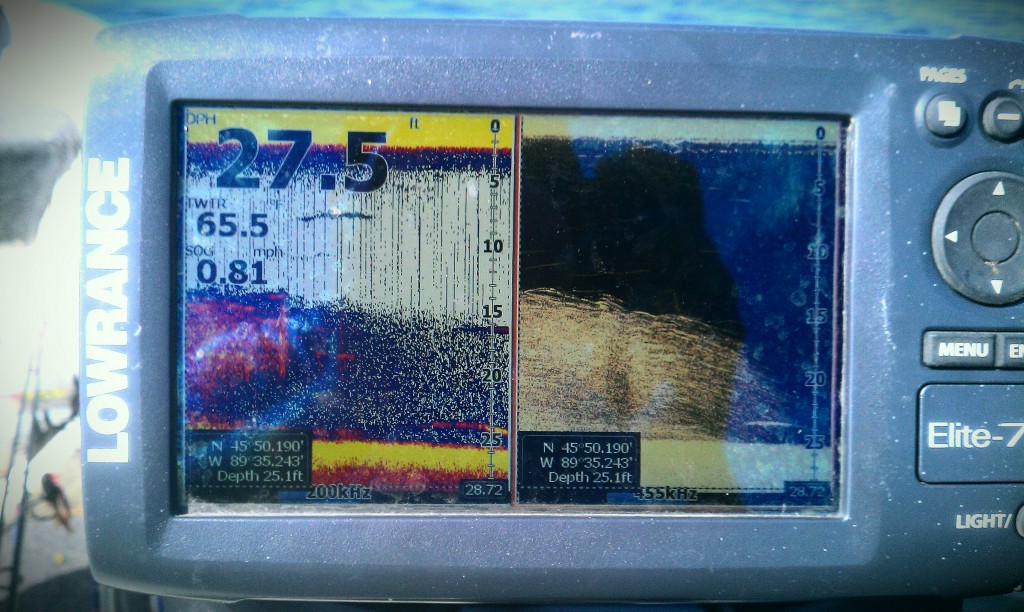 IMAG0991-1