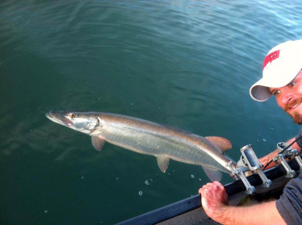 1618654_296011320550258_969991015_n