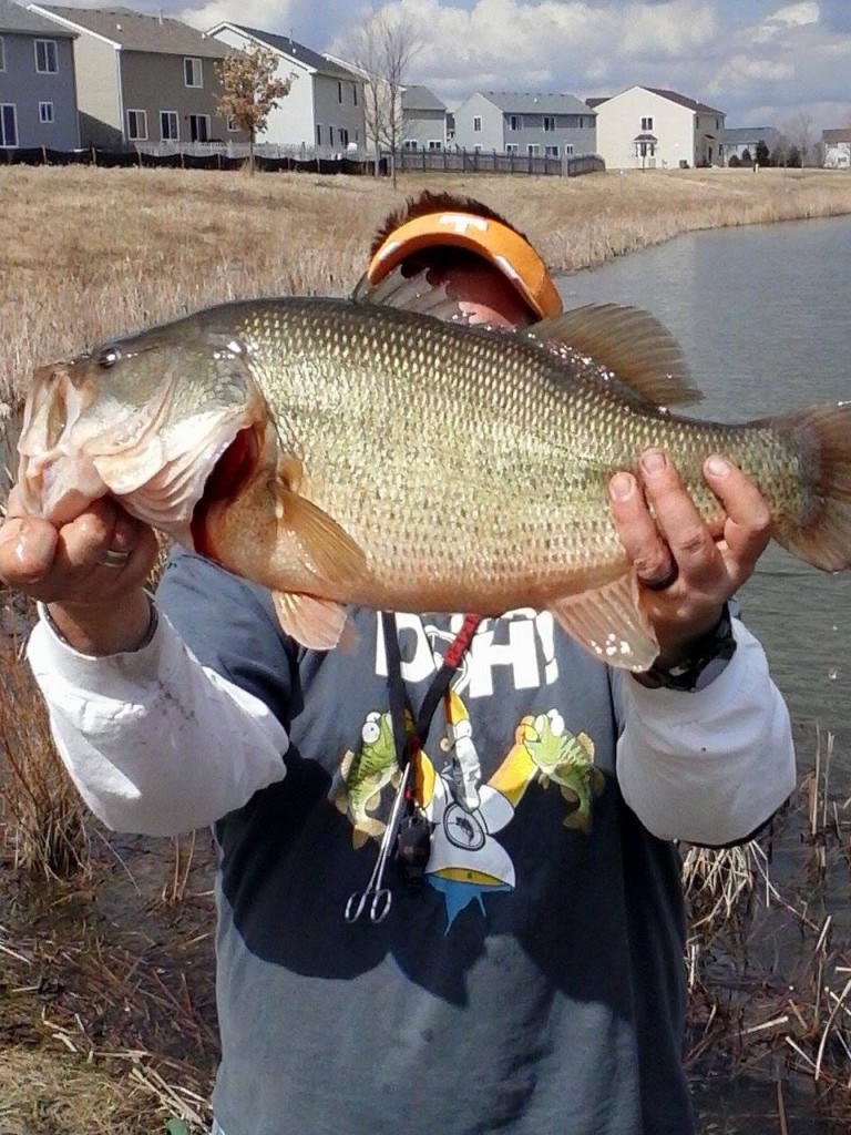 10172989_615746851836352_1194109184_o(1)