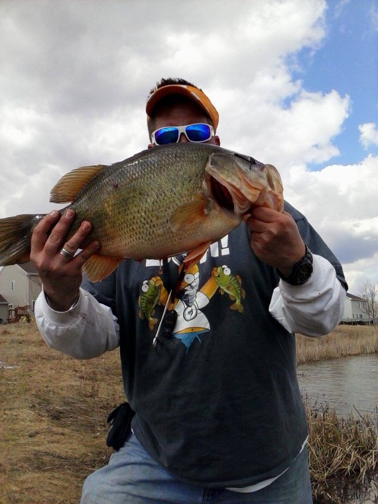 10173057_615745885169782_373693588_o