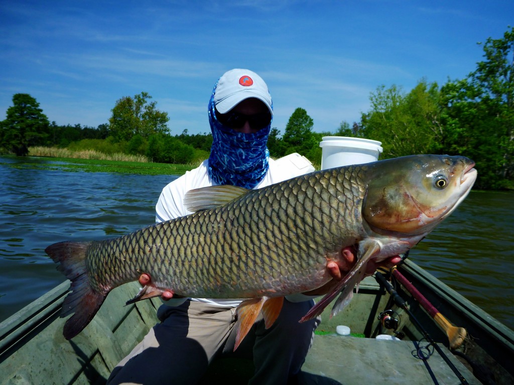 P1040411And4more_tonemapped