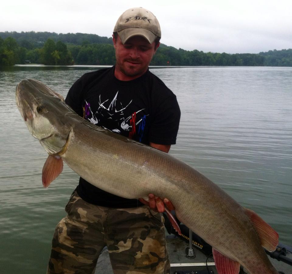 10689699_10100339294004418_6012791433309145609_n