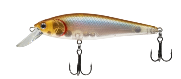  Introduction to Dynamic Lures