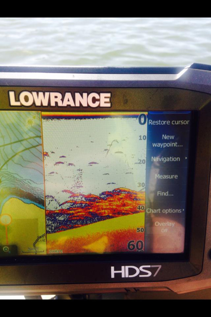 11077949_876590655712464_8686905001405549775_n