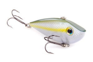 reyesd12-586_sexy_blue_back_herring