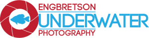 Engbretson Underwater Photography cropped balc image small