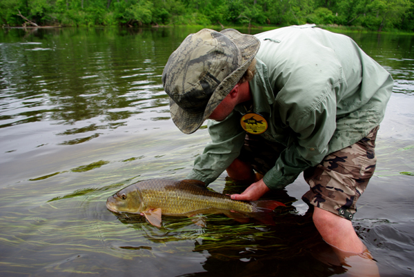 When The Horsin’ Gets Tough