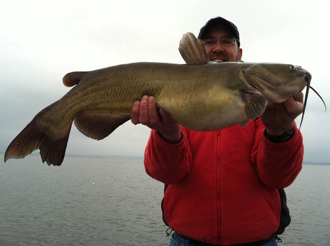  Whiskered Warriors: Natural Lakes Channel  Catfish