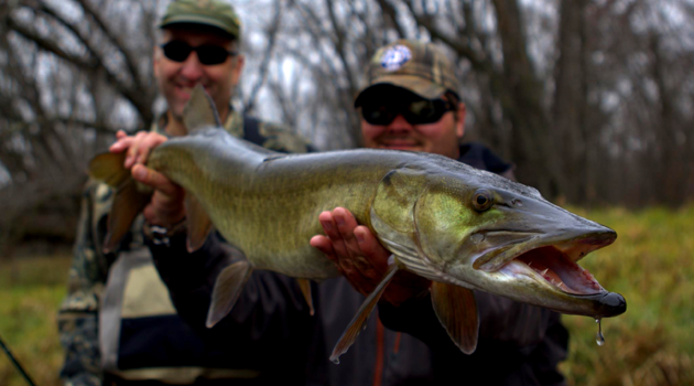  Muskies on the Fly: Where to Begin?