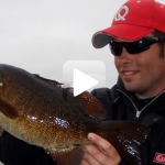 Suspending Jerkbaits for Coldfront Smallies 