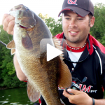 When Smallmouth Bass and Crayfish Collide