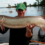 Lake of the Woods Muskellunge Mystique