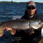 Northern Pike on the Cooldown