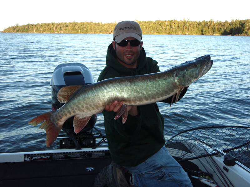  Lake of the Woods Muskellunge Mystique