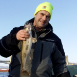 Winter Tailrace Walleyes and Sauger
