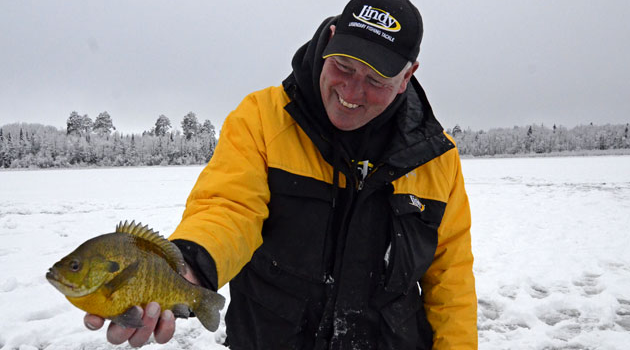 Should I Stay Or Should I Go?