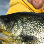 How to Catch More Crappie