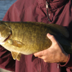 Pack The Right Lures For A Boundary Waters Fishing Adventure