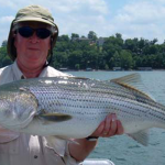 Catching More and Bigger Stripers