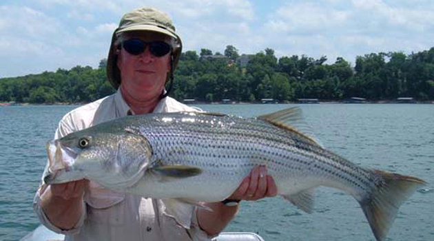 Catching More and Bigger Stripers