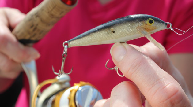 Secret Schooling Bass Lures