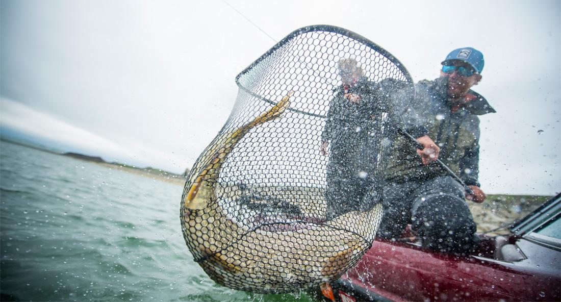 News from Cortland Line Company November 2014