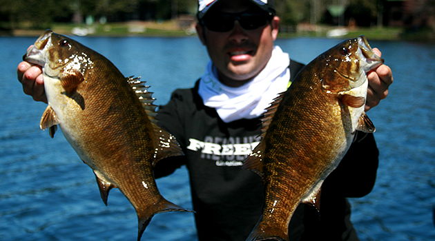 Top Smallmouth Bass Baits of 2014