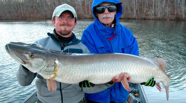 New Tennessee Muskie Record Released
