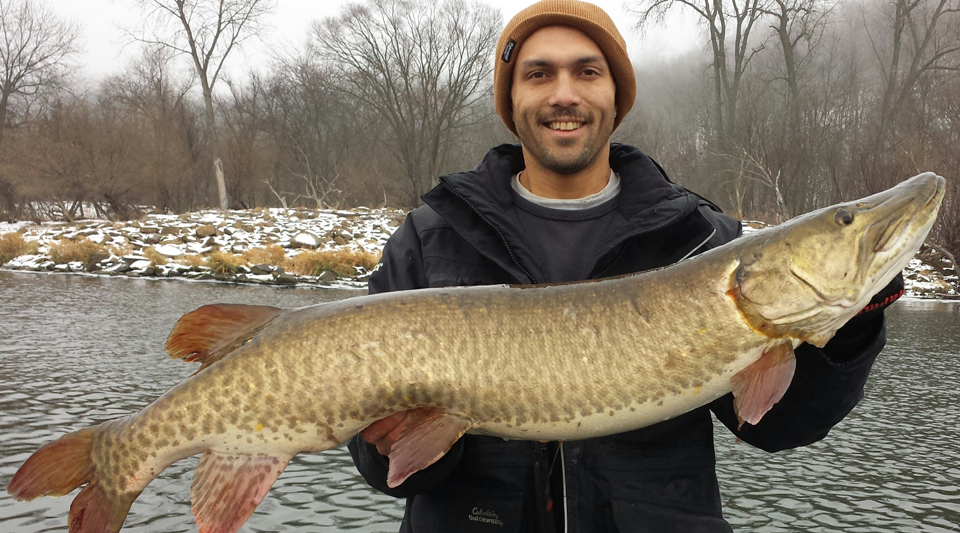 Moving Water and Current Tolerant Species