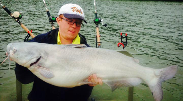 Tennessee River Controlled Drifting Blue Catfish