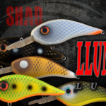 Llungen Lures Catches Musky Anglers with Release of the Chad Shad Crankbait