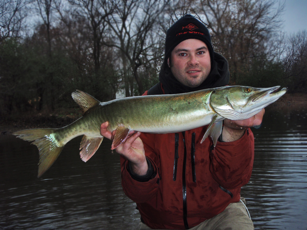 Late Fall Multi-Species Piscifun and Early Winter Muskies