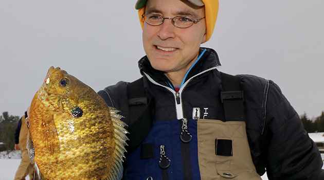 Bluegills: The Gateway Species