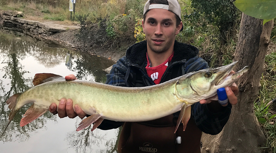 Urban Muskies and Underrated River Fisheries