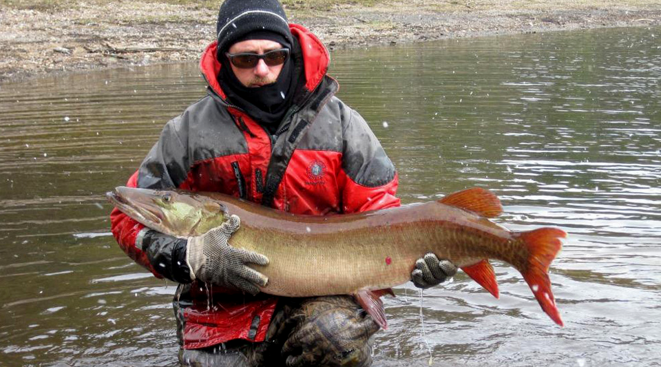 The Future of Minnesota and Wisconsin Gamefish Resources (Part 2)